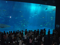 resize0592.jpg