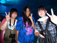 resize0602.jpg