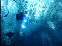resize0604.jpg