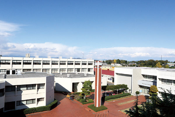 15 中庭
