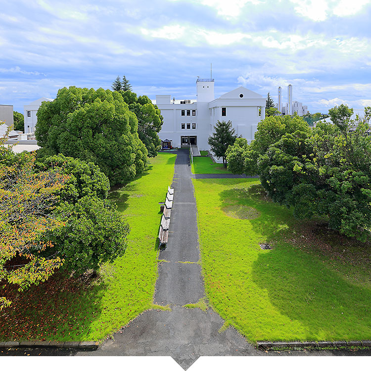 学部・学科コース紹介