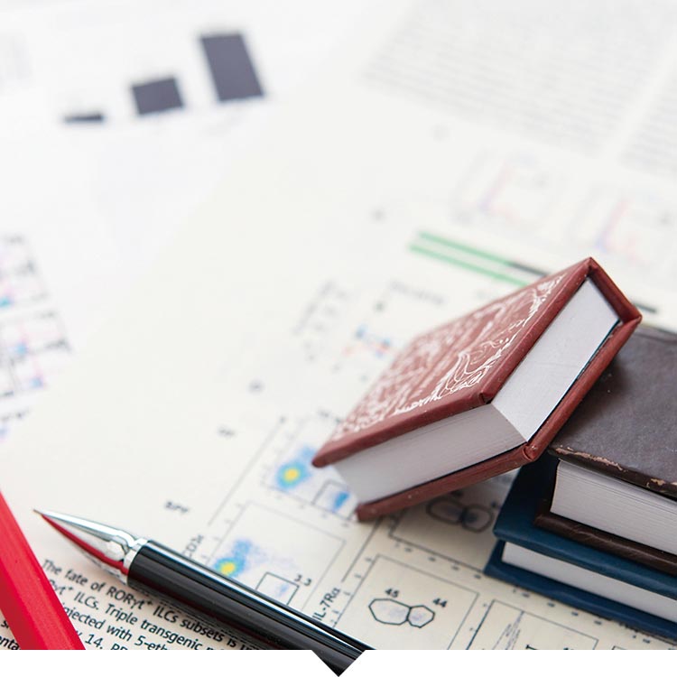 一般教育担当教員